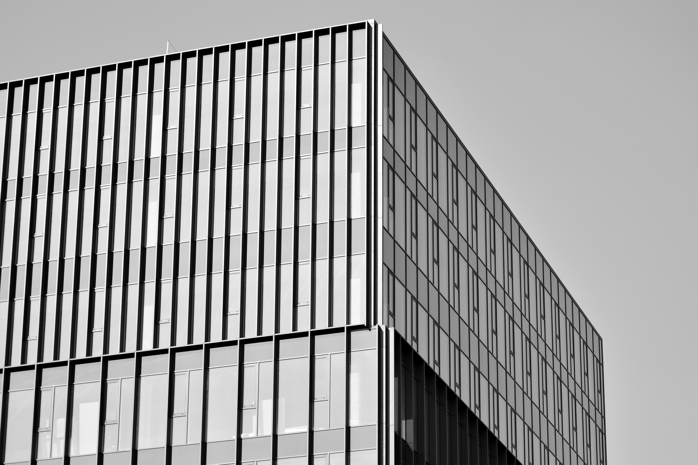 Modern city office building exterior. Black and white.